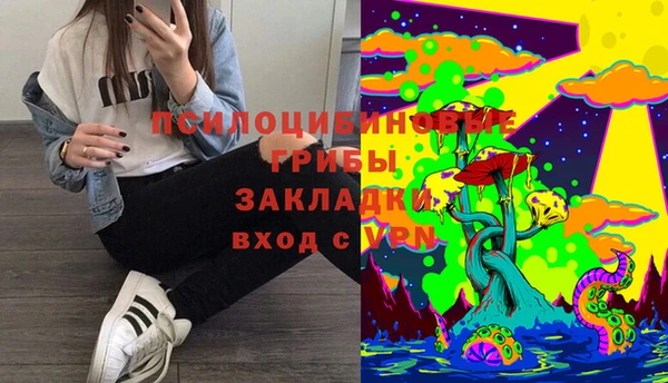 амф Алексеевка
