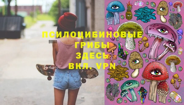 ешки Алексин