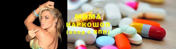 ешки Алексин