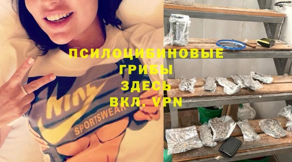 бошки Алзамай