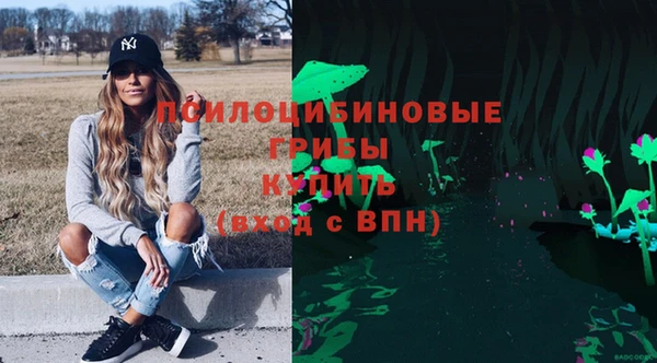 ешки Алексин