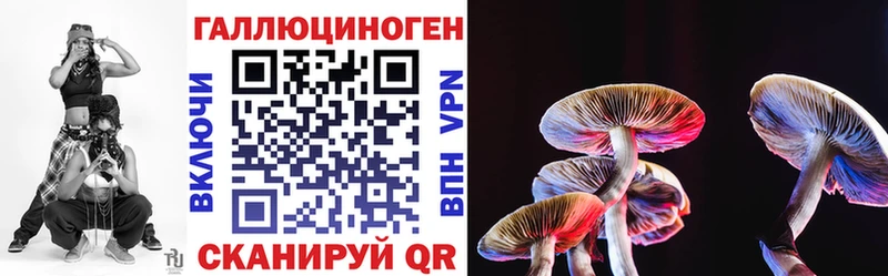 цена наркотик  Казань  Псилоцибиновые грибы Psilocybine cubensis 